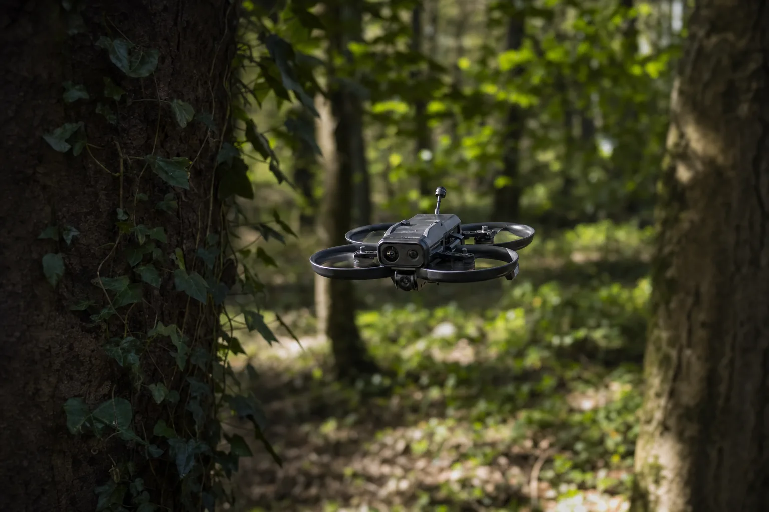 DJI Avata 360 flying a gap between trees in UK woodland