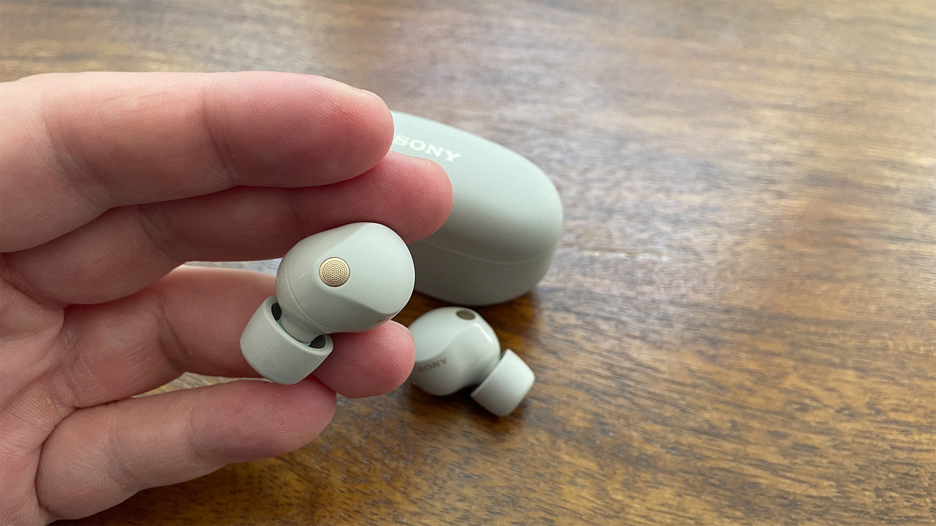 Sony WF-1000XM6 wireless earbuds in sage